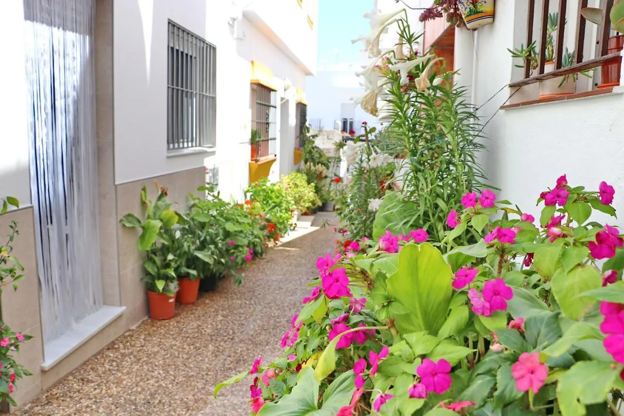 Estudio Nardo Conil De La Frontera Spain